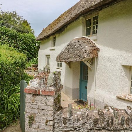 Elworthy Cottage Salcombe Bagian luar foto